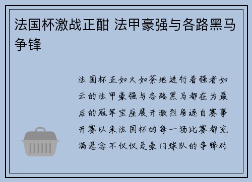 法国杯激战正酣 法甲豪强与各路黑马争锋