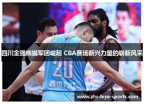 四川金强熊猫军团崛起 CBA赛场新兴力量的崭新风采