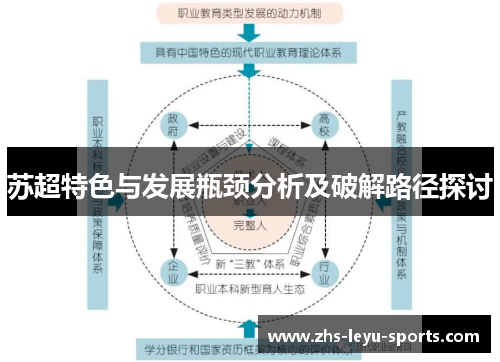 苏超特色与发展瓶颈分析及破解路径探讨